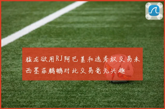 猛龙欲用RJ阿巴基和选秀权交易米西墨菲鹈鹕对此交易毫无兴趣