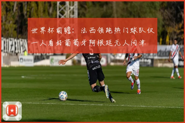世界杯前瞻：法西领跑热门球队仅一人看好葡萄牙阿根廷无人问津